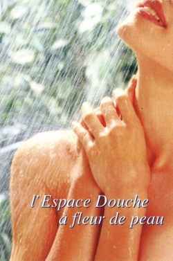 Charnière de douche
